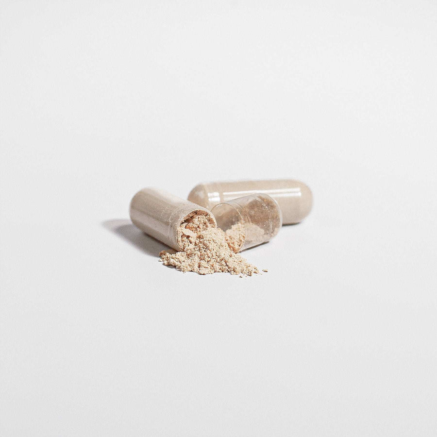 Cordyceps mushroom capsules with powder contents on white background.