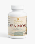 Sea Moss Solidarity Ointments